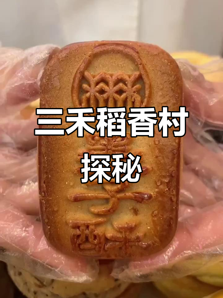 三禾稻香村探秘