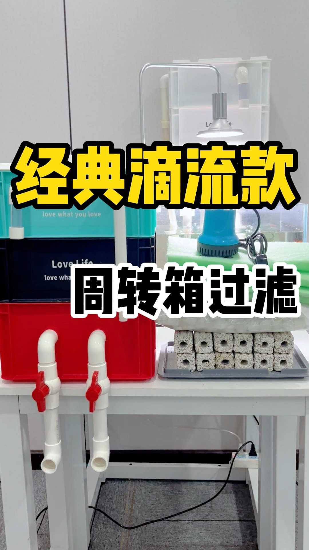 经典滴流款周转箱过滤 这个周转箱过滤器可以改善你鱼缸水质问题,想要了解可以点击视频下方的链