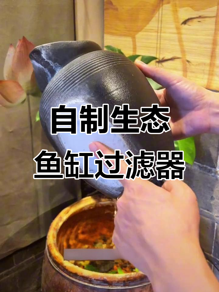 打造流水过滤系统,鱼缸造景更美观