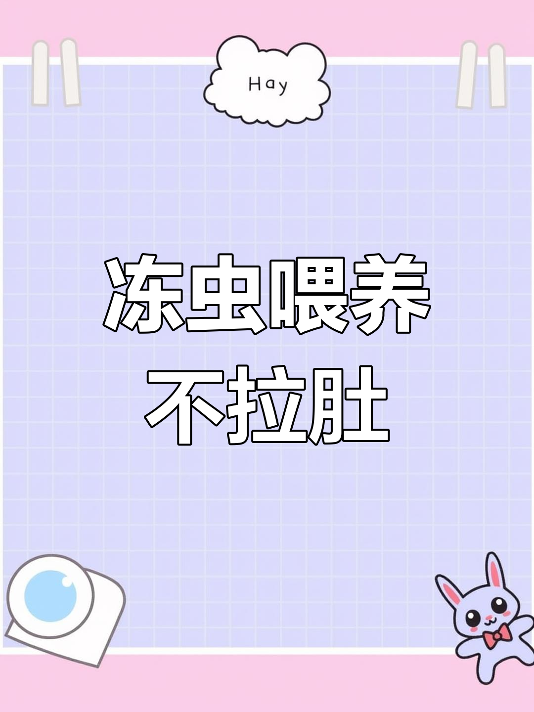 冰冻红虫丰年虾喂孔雀鱼,不会拉肚子!