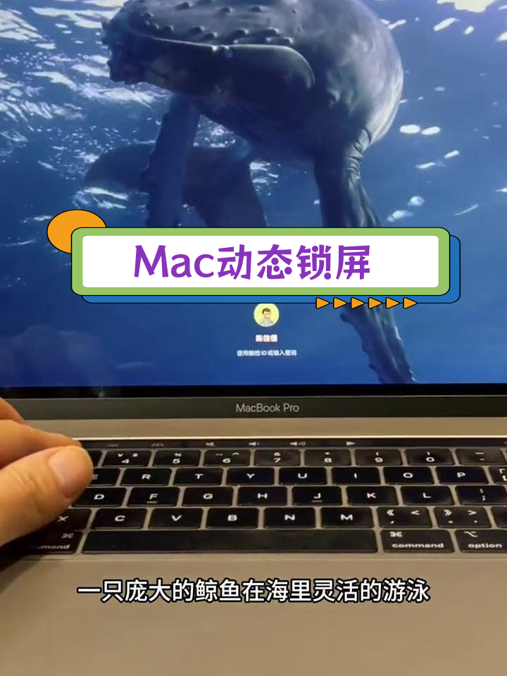 苹果新系统自带动态壁纸,鲸鱼与海洋美景尽收眼底