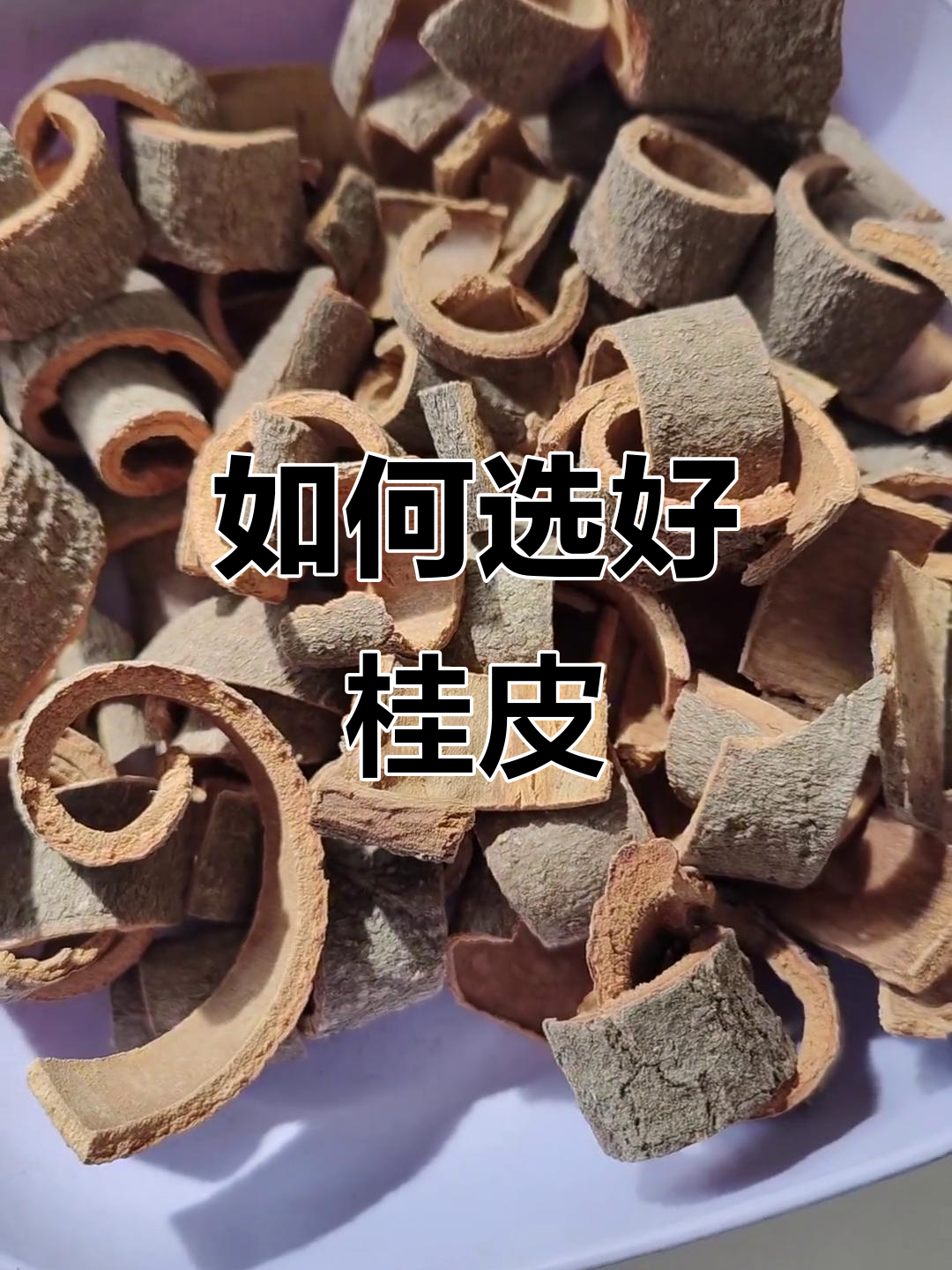 桂皮与肉桂的区别：香料中的王者，如何挑选优质桂皮