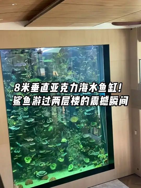 豪宅8米垂直亚克力海水鱼缸！鲨鱼游过两层楼的震撼瞬间