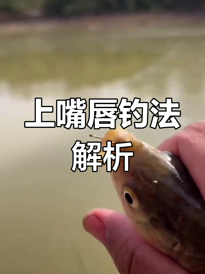 钓鱼技巧大揭秘:如何用钩子精准捕捉上嘴唇鱼