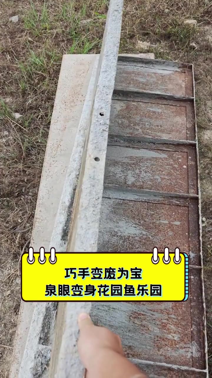 巧手变废为宝,泉眼变身花园鱼乐园