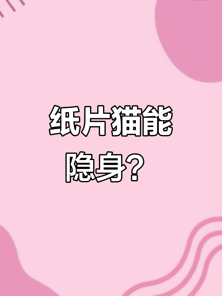 纸片猫隐身特效?测试结果让人笑出声
