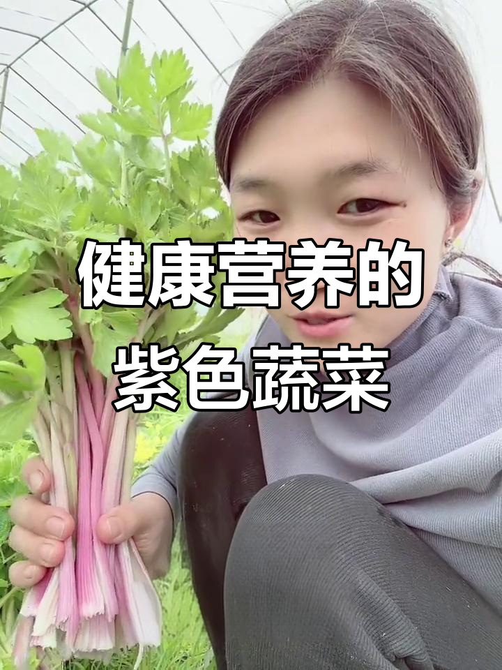 紫色芹菜富含抗氧化剂,降血压、防癌又助消化