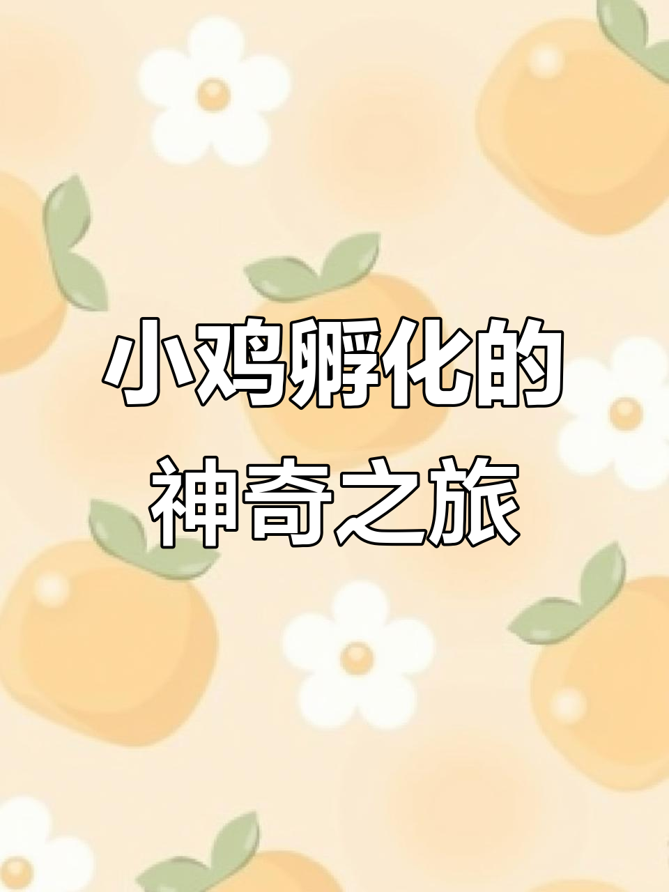 揭秘小鸡孵化过程,全自动机器让两万九千八百枚种蛋变鸡苗