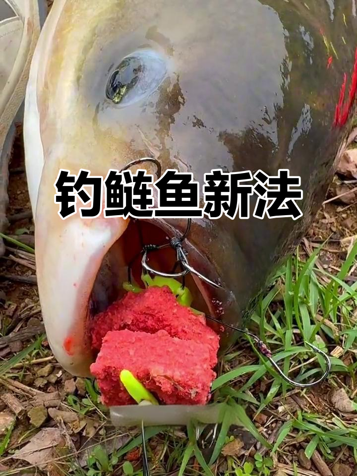 海竿鲢鱼新技巧,钓鱼成功率翻倍!