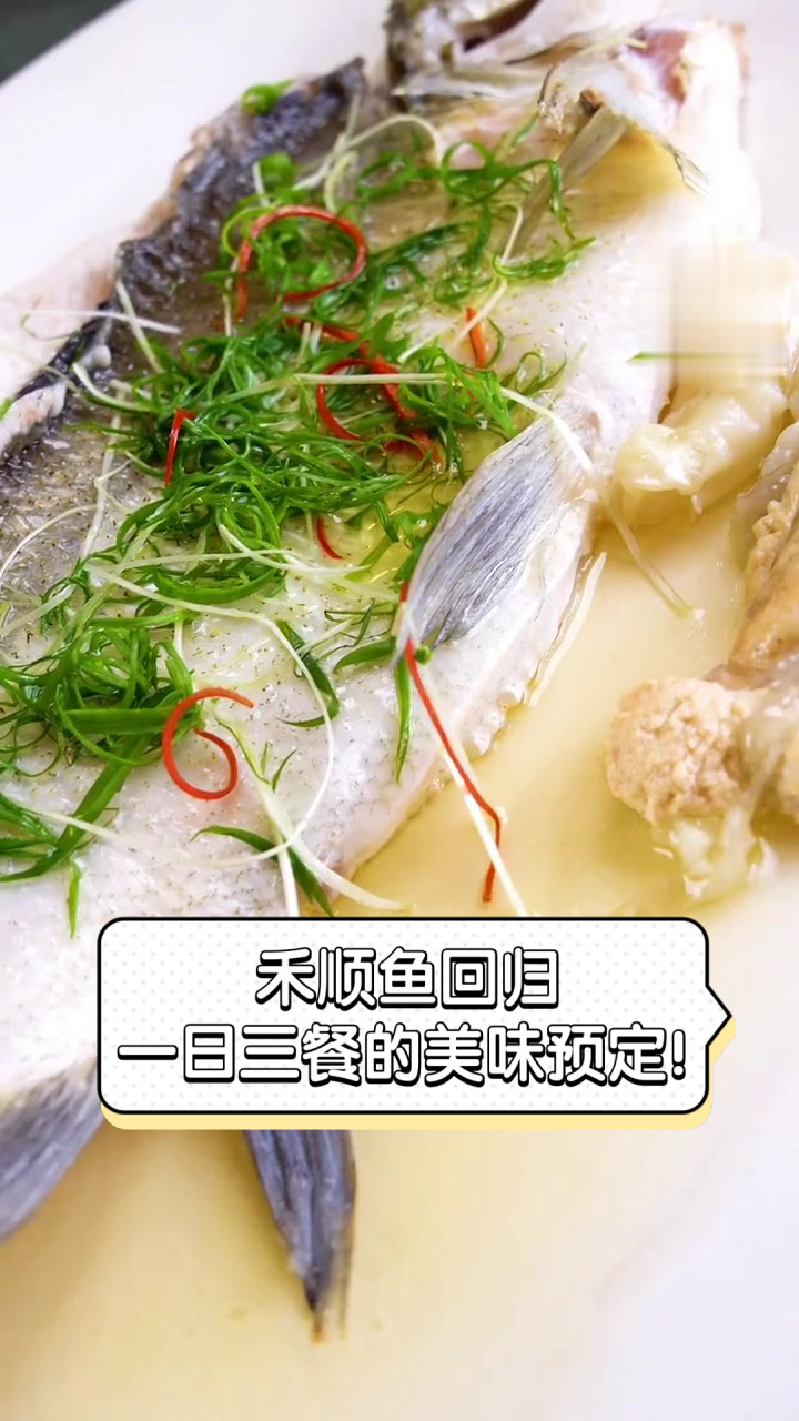 禾顺鱼回归,一日三餐的美味预定!