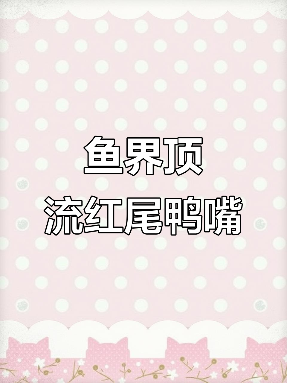 红尾鸭嘴鱼搞笑开饭,魔性甩尾舞动全场