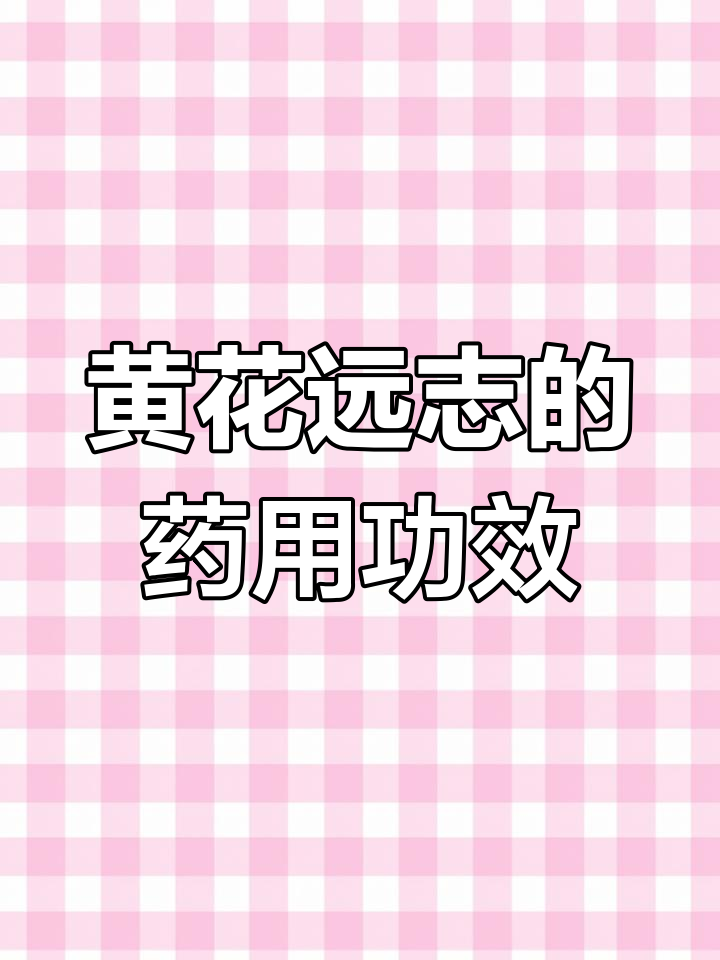 黄花远志:高山岩壁的草本良药,益肾补气效果显著