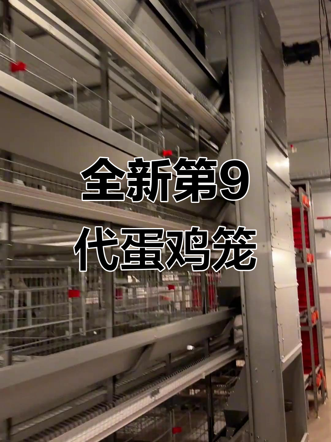 第9代蛋鸡笼设计揭秘,反吊顶与导流板完美配合