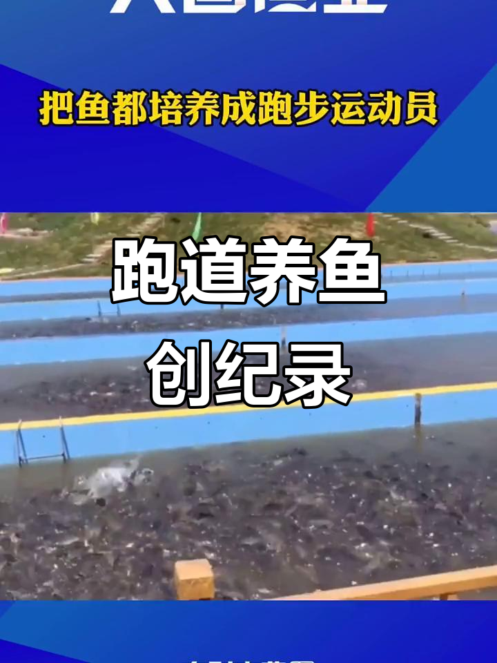 跑道养鱼新风潮,25米跑道轻松养殖8万斤加州鲈