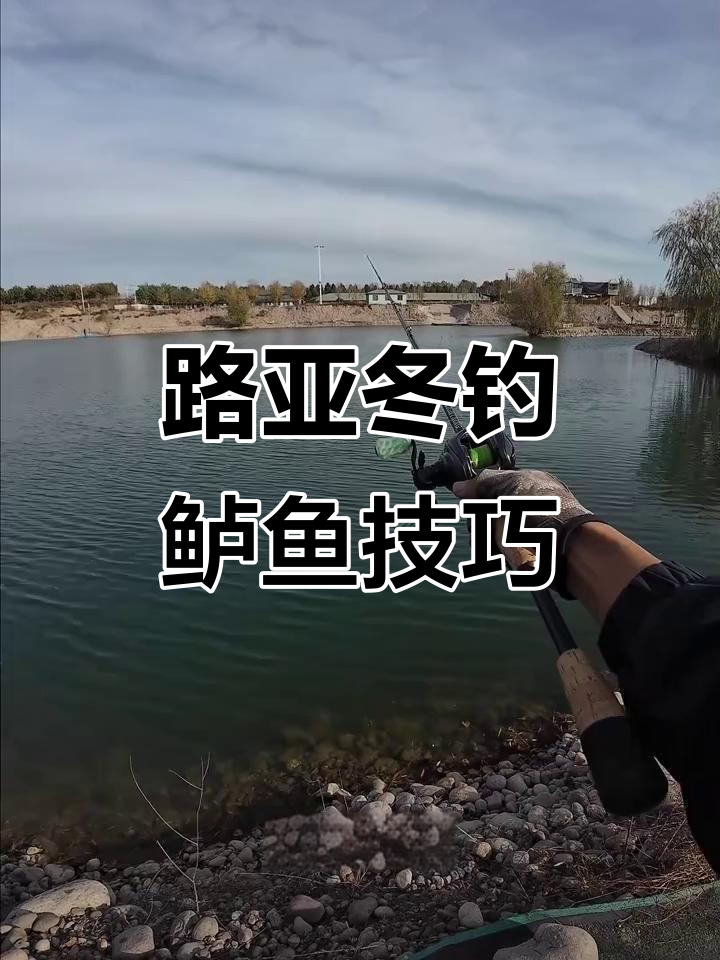 冬季路亚鲈鱼技巧:如何精准控饵,提高中鱼率