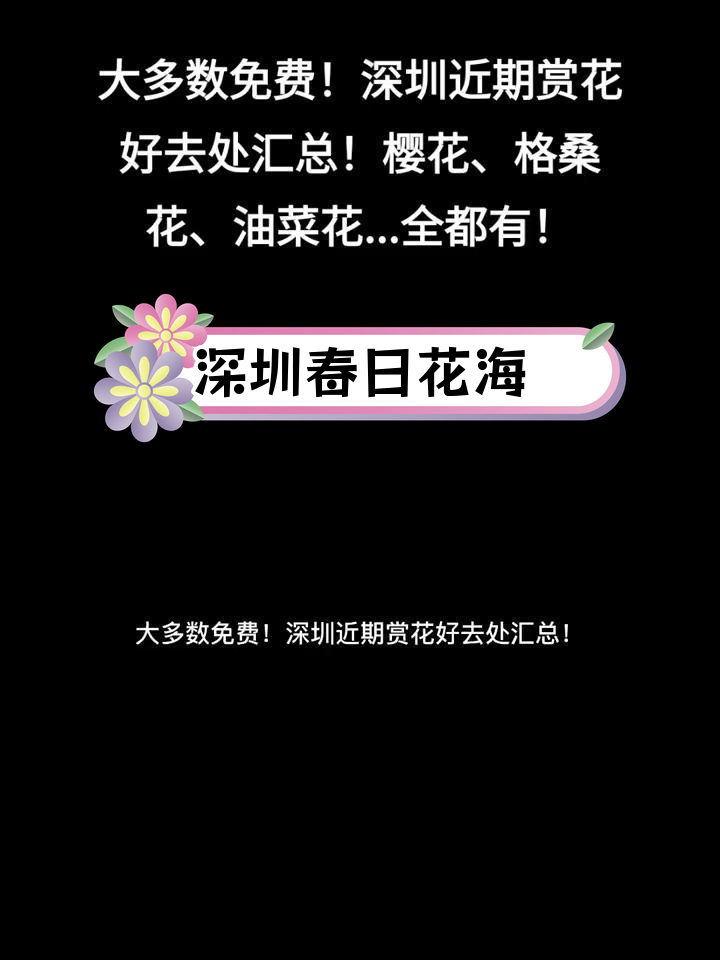深圳春季赏花全攻略:樱花、油菜花、格桑花一次看遍