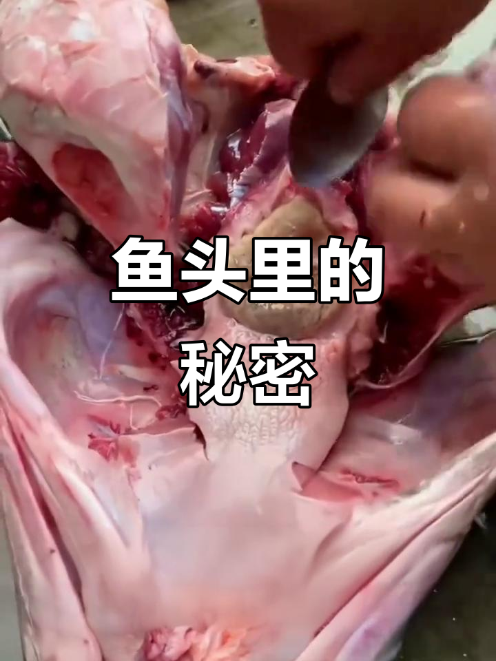 买鱼头竟然是为了这块石头,晒干雕刻成守护佛吊坠