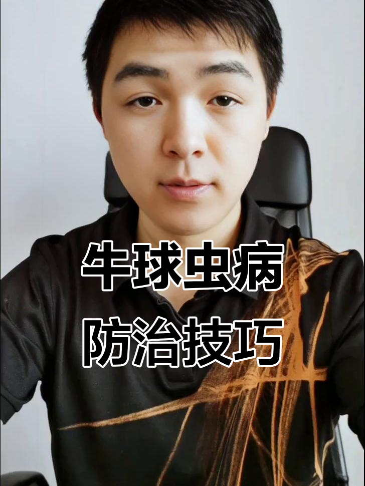牛球虫病症状与治疗方案全解析