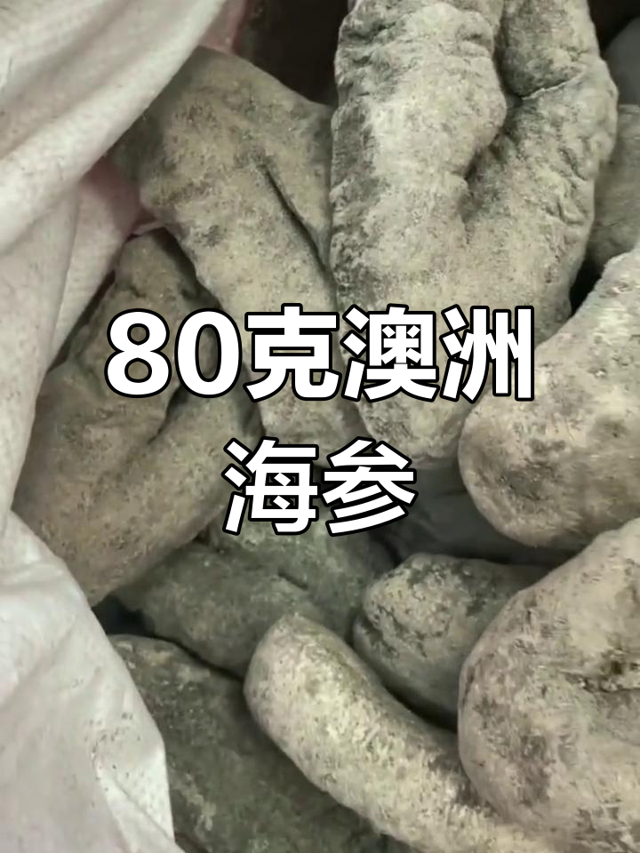 澳洲乌石蓝肉海参,八两左右超值美味