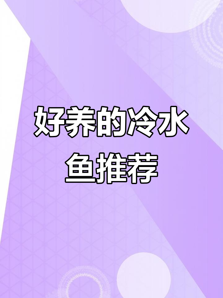 冬季无需加热棒，四种冷水鱼轻松养
