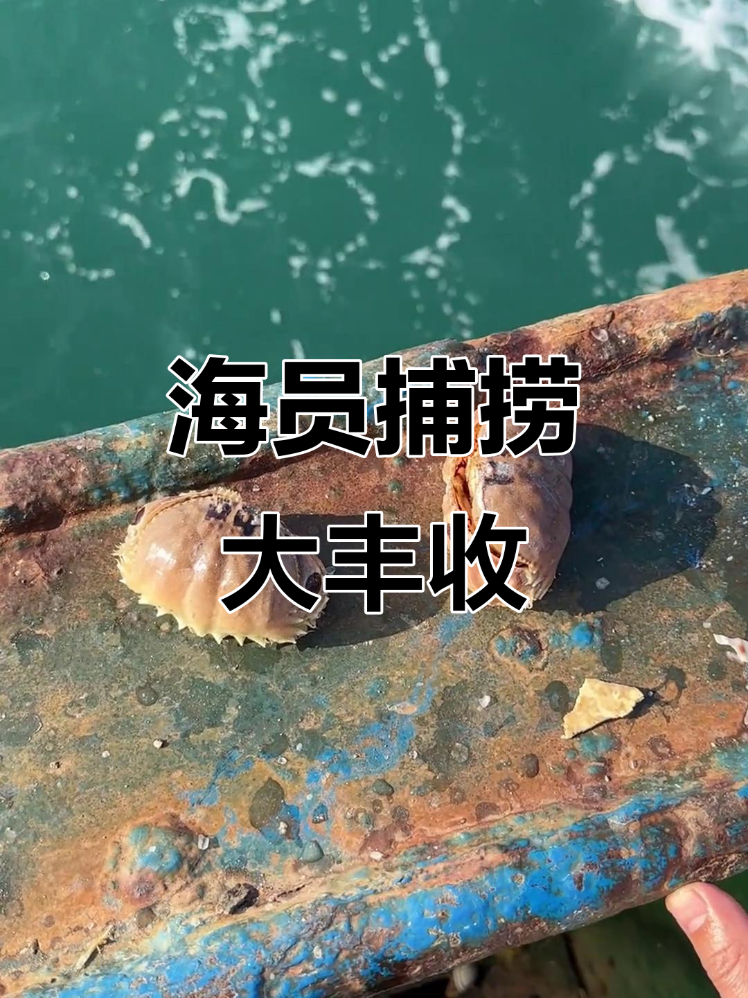 渔民出海捕捞,带鱼、白丁虾等海鲜丰收