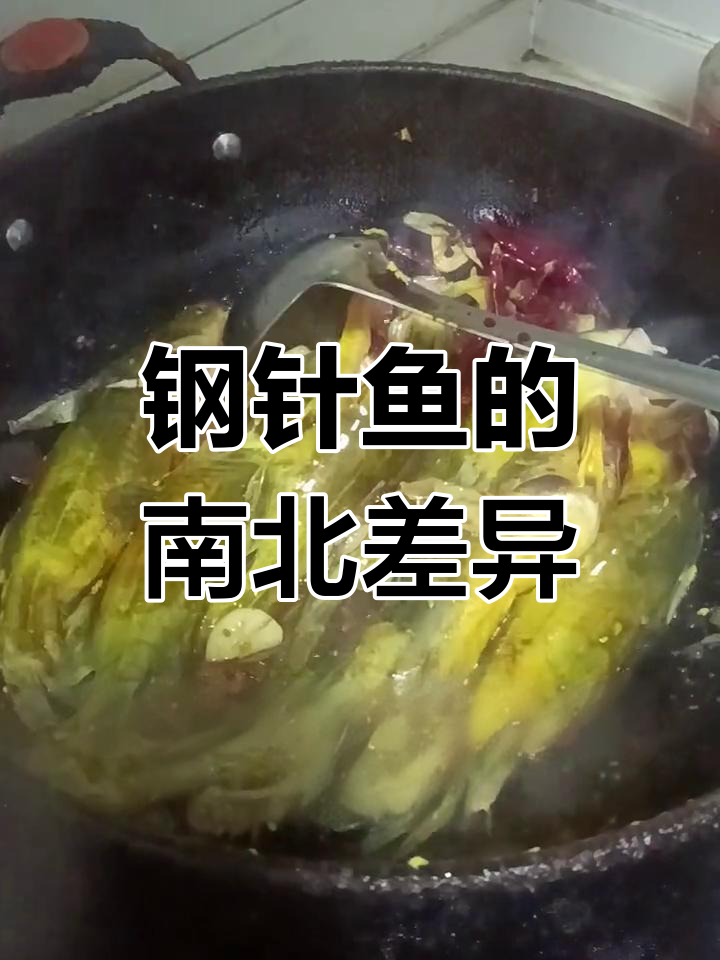 钢针鱼南北叫法不同,苏北称黄辣丁,北方有何独特称呼?