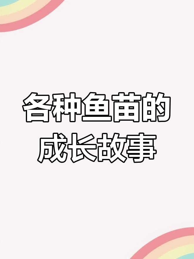 鱼苗养殖大揭秘:鳊、花骨与丁桂鱼的成长之路