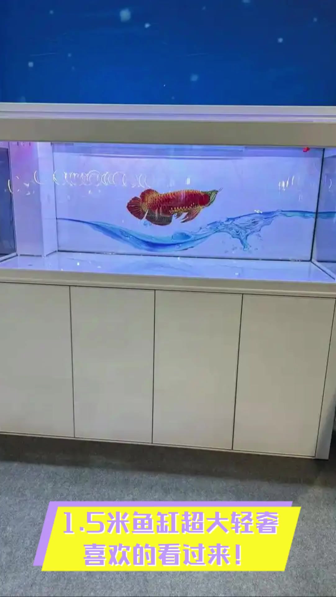 1.5米鱼缸超大轻奢,喜欢的看过来!
