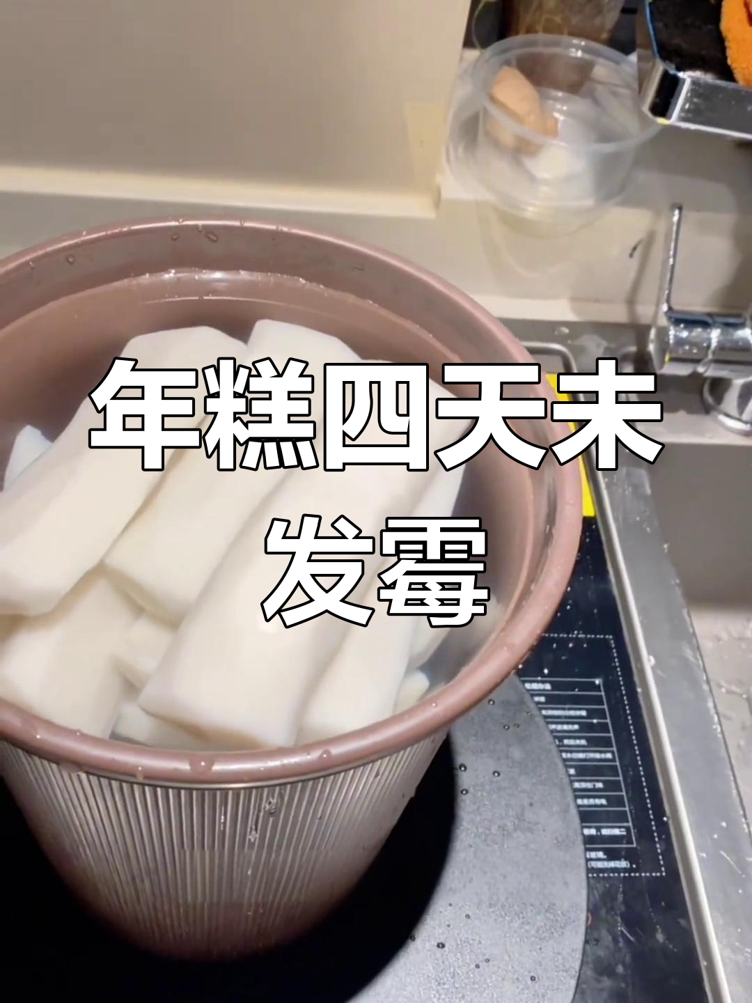 水养年糕第四天,换水后依然健康