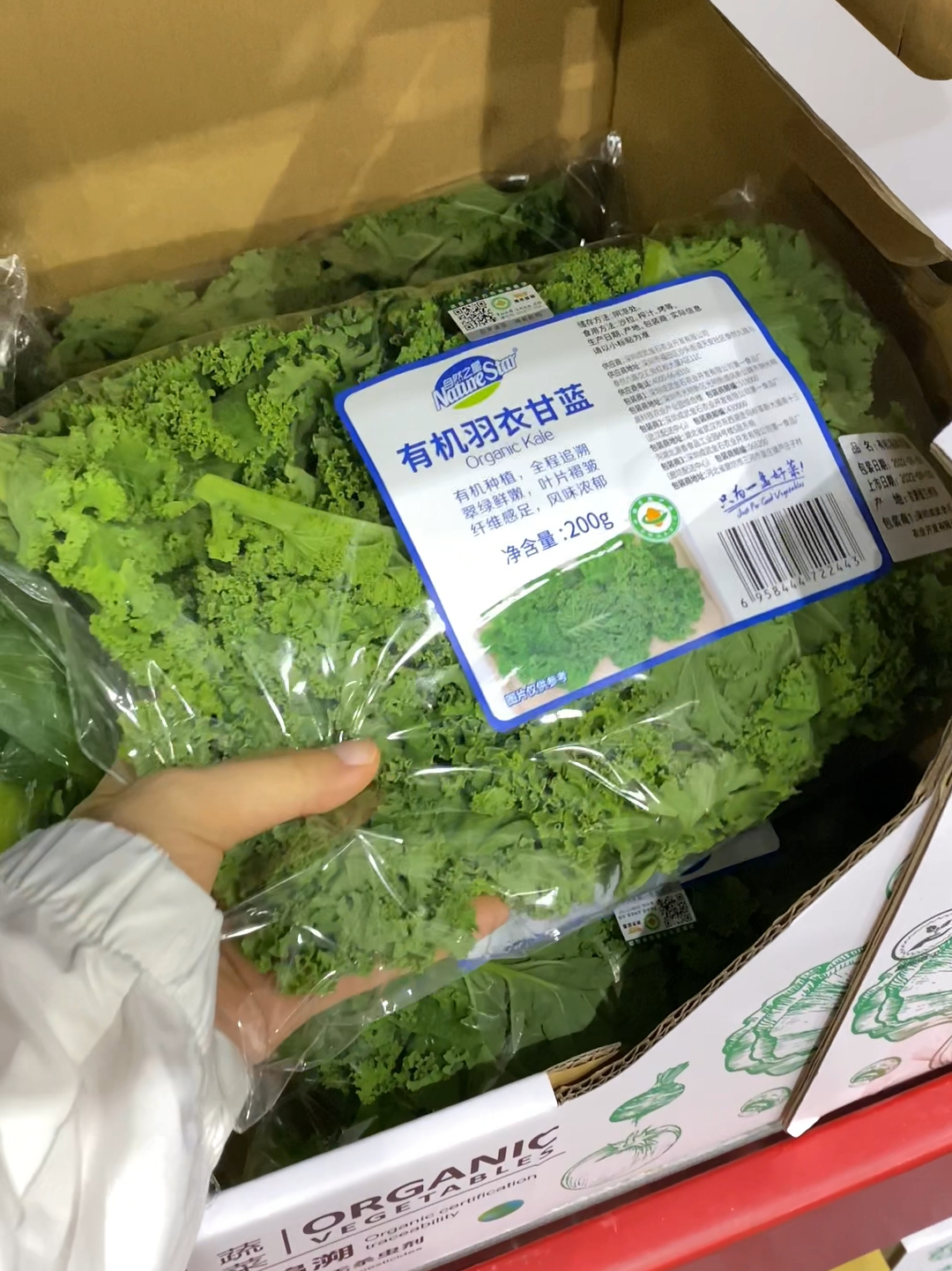 超级蔬菜:羽衣甘蓝,3种做法生涩难嚼变好吃!