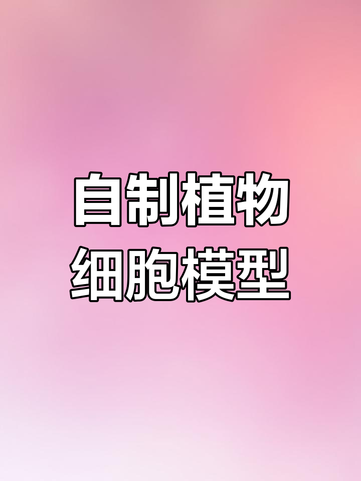 植物细胞模型制作全过程揭秘