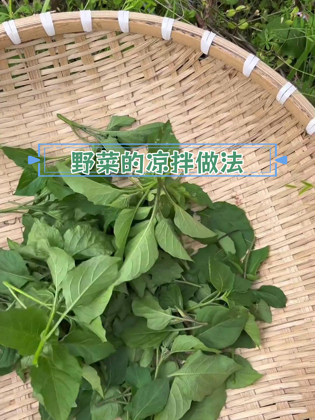 白花菜的营养价值与独特风味
