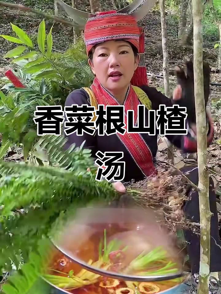 用香菜根和山楂煮水,省路费又健康!