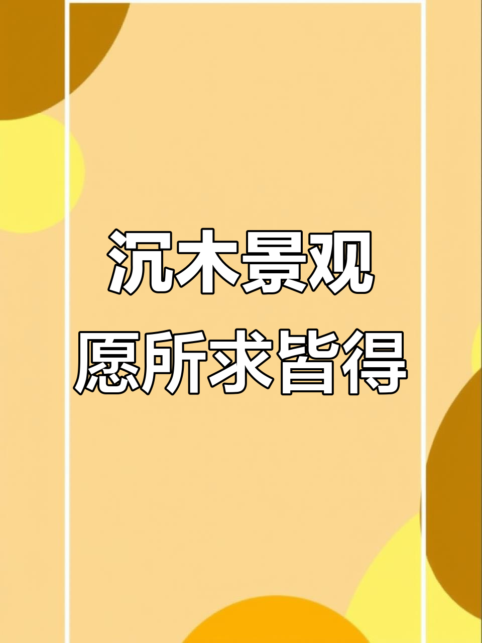 沉木造景,鱼缸里的自然生态与美好愿景