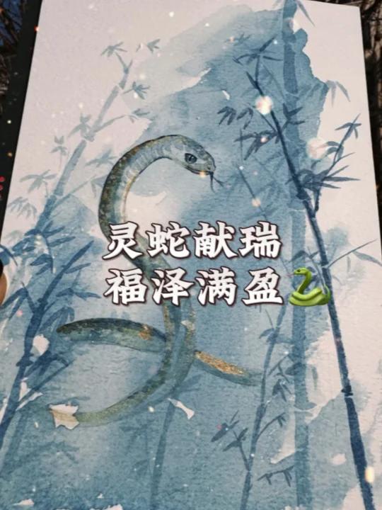 国风|灵蛇献瑞,福泽满盈Chinese style