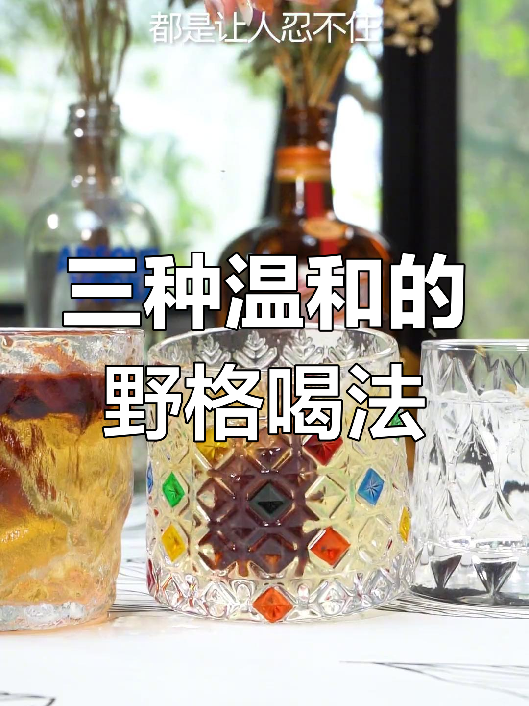 野格的三种温柔喝法,酸甜梅子酒、清爽干白葡萄酒和果香苏打水