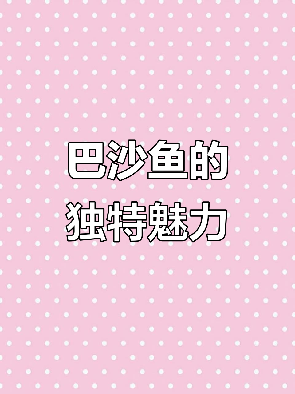 越南巴沙鱼价格不便宜,肉质鲜美,是当地特色经济鱼类