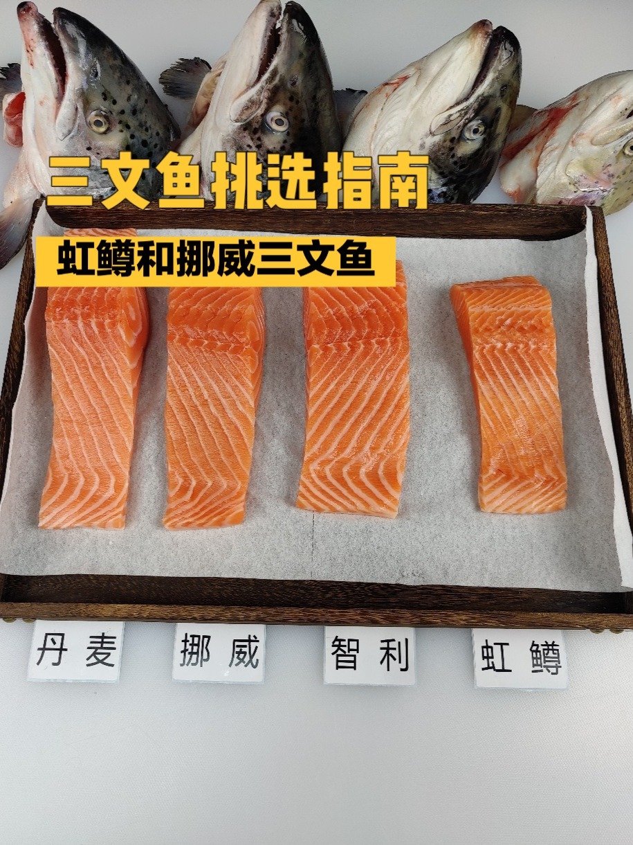 虹鳟和挪威三文鱼区别后续