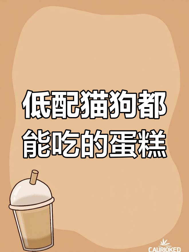 1岁猫咪定制鸡肉蛋糕,低配可吃,敏感肠胃选纯肉