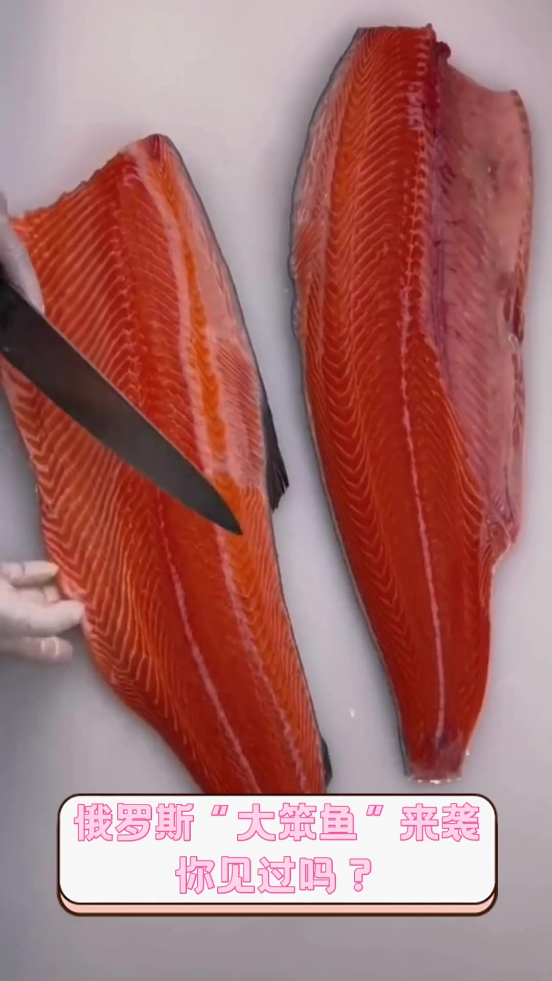 俄罗斯“大笨鱼”来袭,你见过吗?