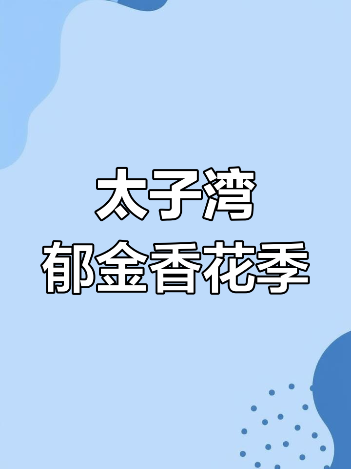 春天必看!杭州太子湾郁金香花季,错过就等一年