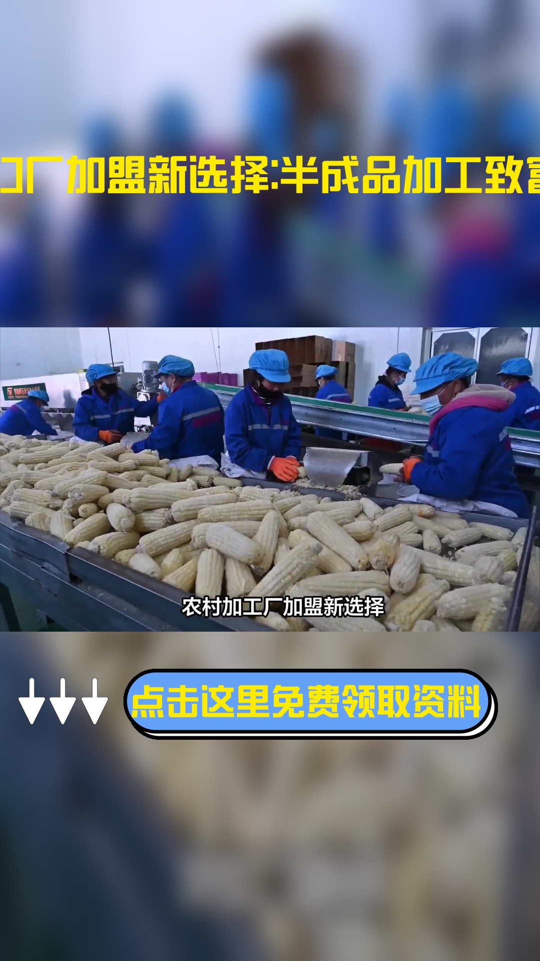 农村加工厂加盟新选择:半成品加工致富快车道