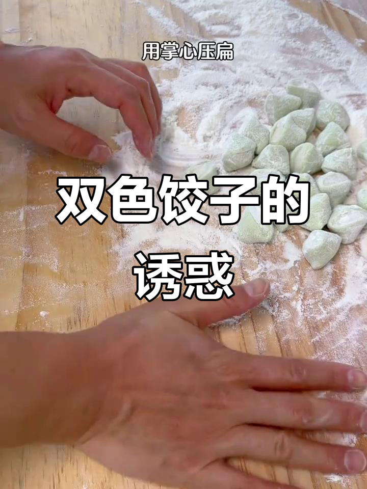 菠菜汁做双色饺子，牛肉白菜馅儿超美味！