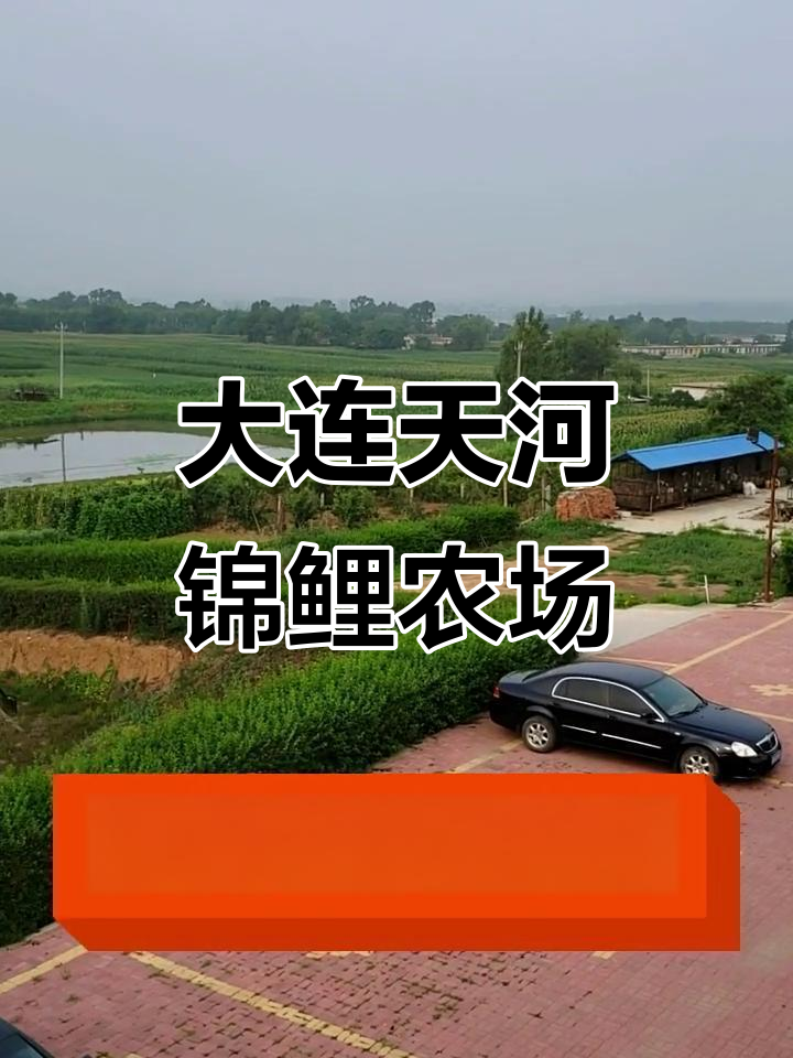 辽宁大连天河农场:锦鲤养殖与有机蔬菜的完美结合