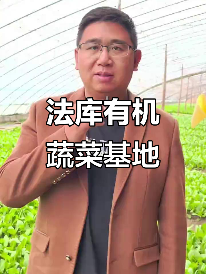 沈阳法库孟家镇有机蔬菜基地:四季如春,人工除草保证质量