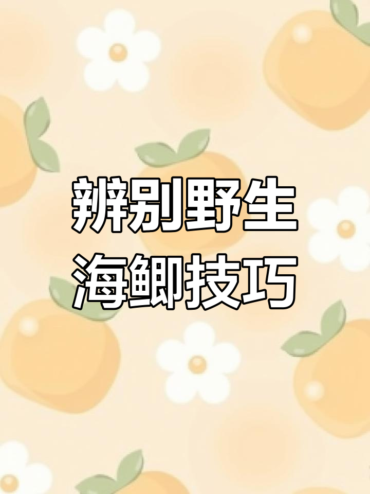如何分辨野生与养殖海鲫鱼,掌握这一招轻松挑选