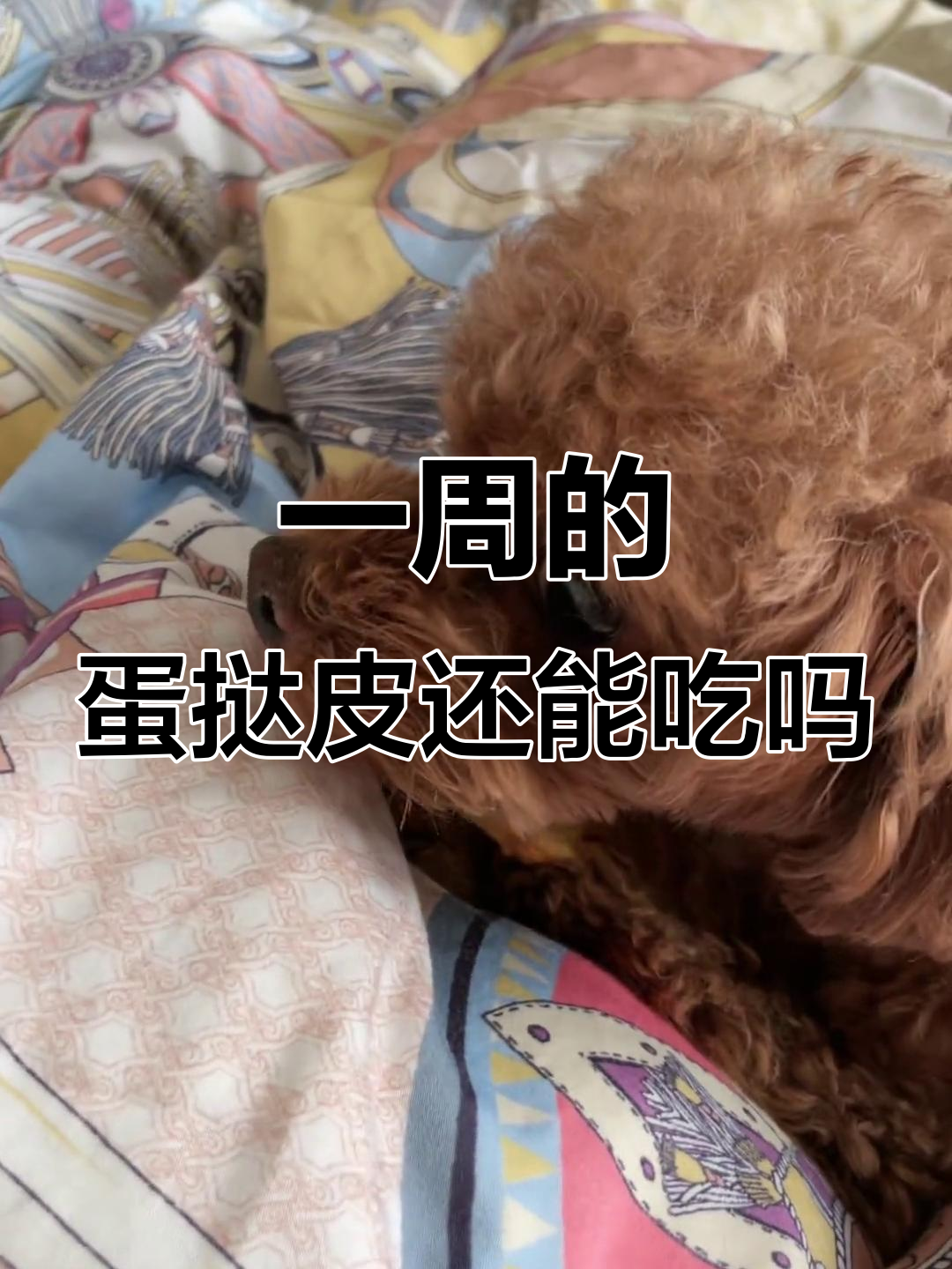 蛋挞皮放了一周,竟然还能吃!