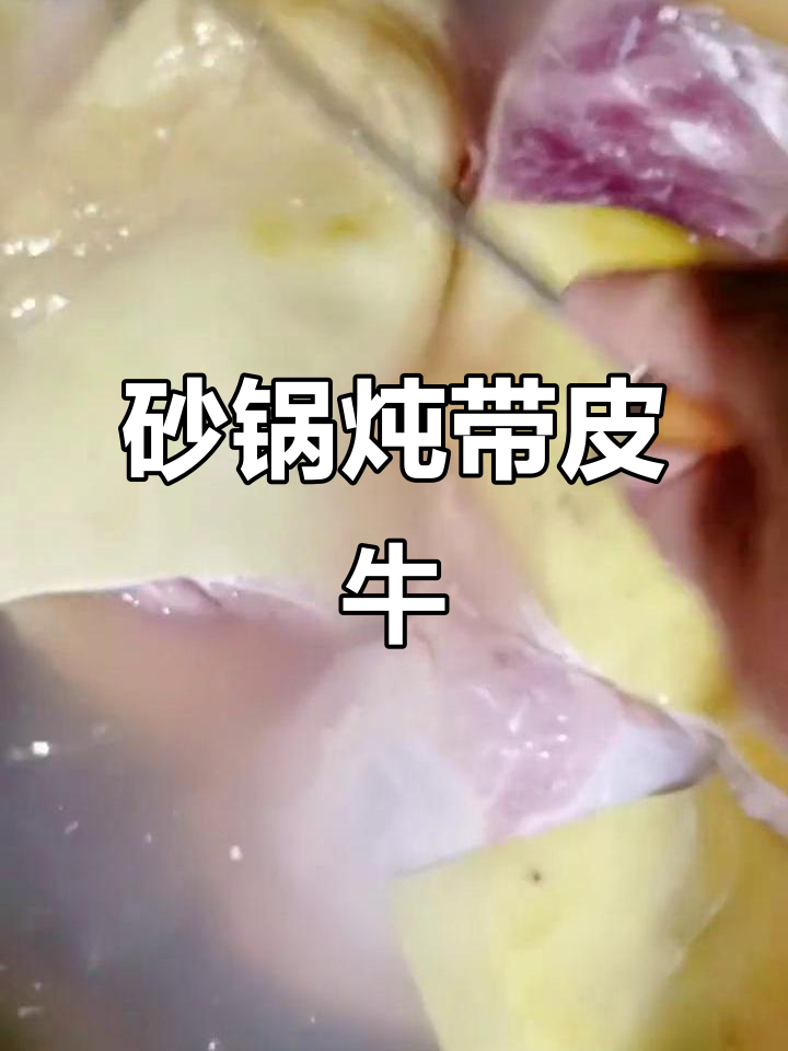 内蒙古正宗砂锅炖牛肉,皮肉相连,慢火熬制两小时