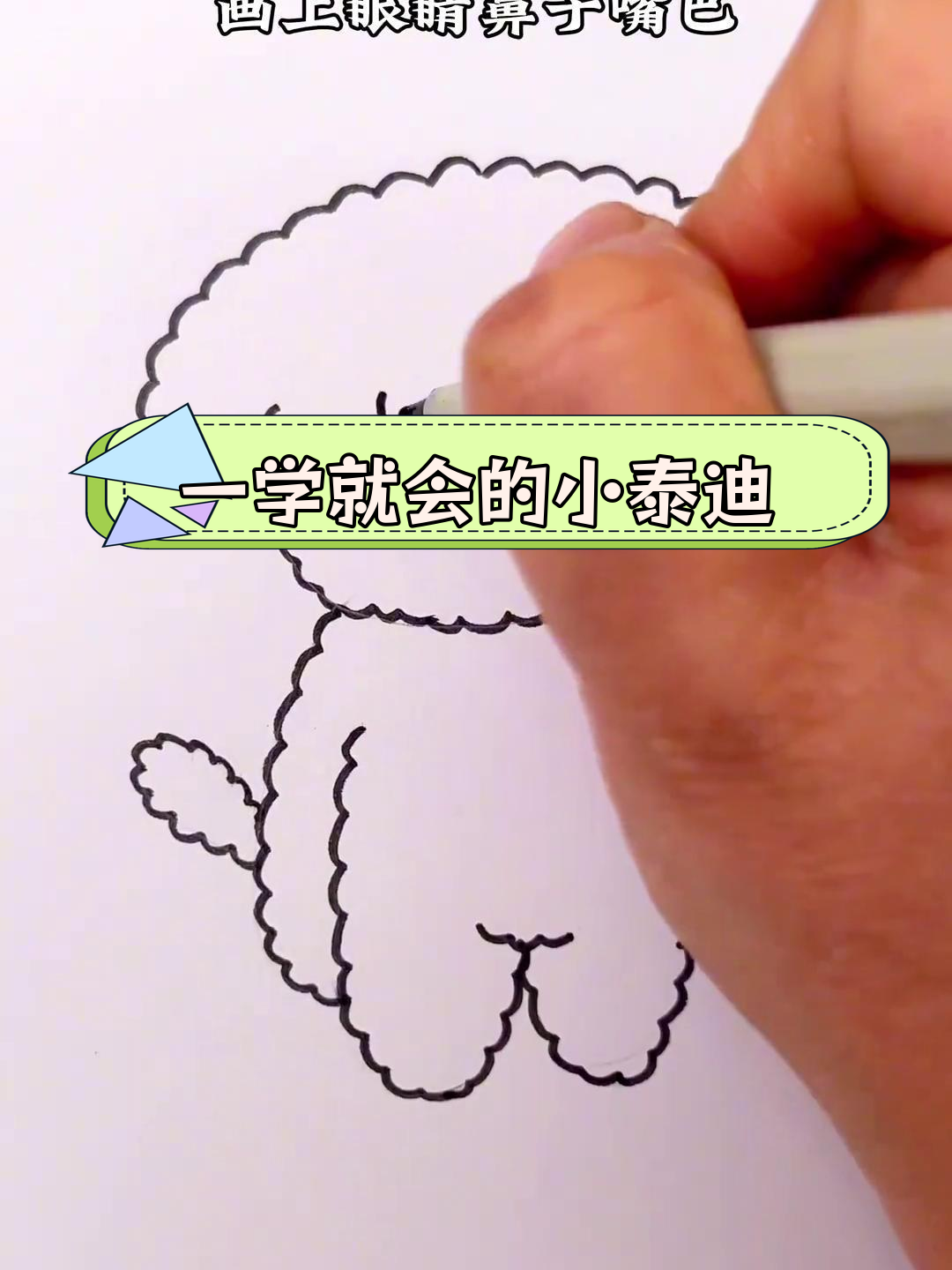 轻松学会画小泰迪狗