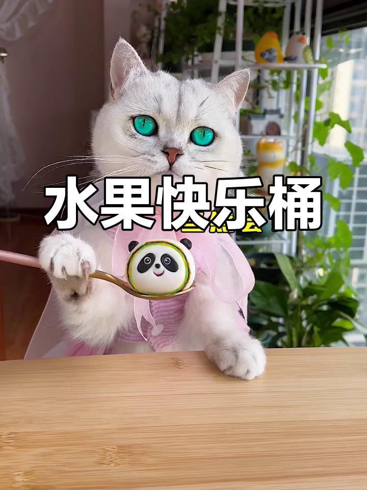 水果快乐桶:西瓜与汤圆的奇妙碰撞,超好喝!